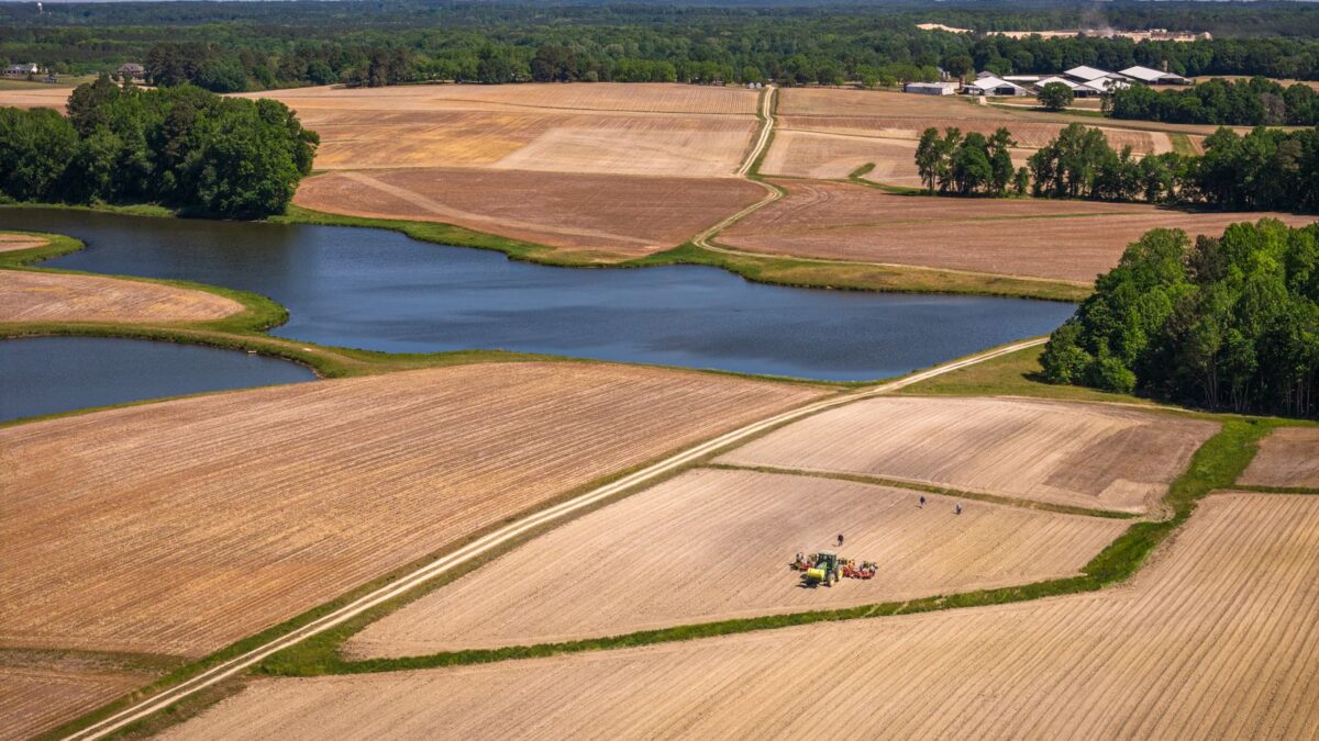 Aerial view of flat farm fields and a pond on a coastal plain like Virginia’s Eastern Shore