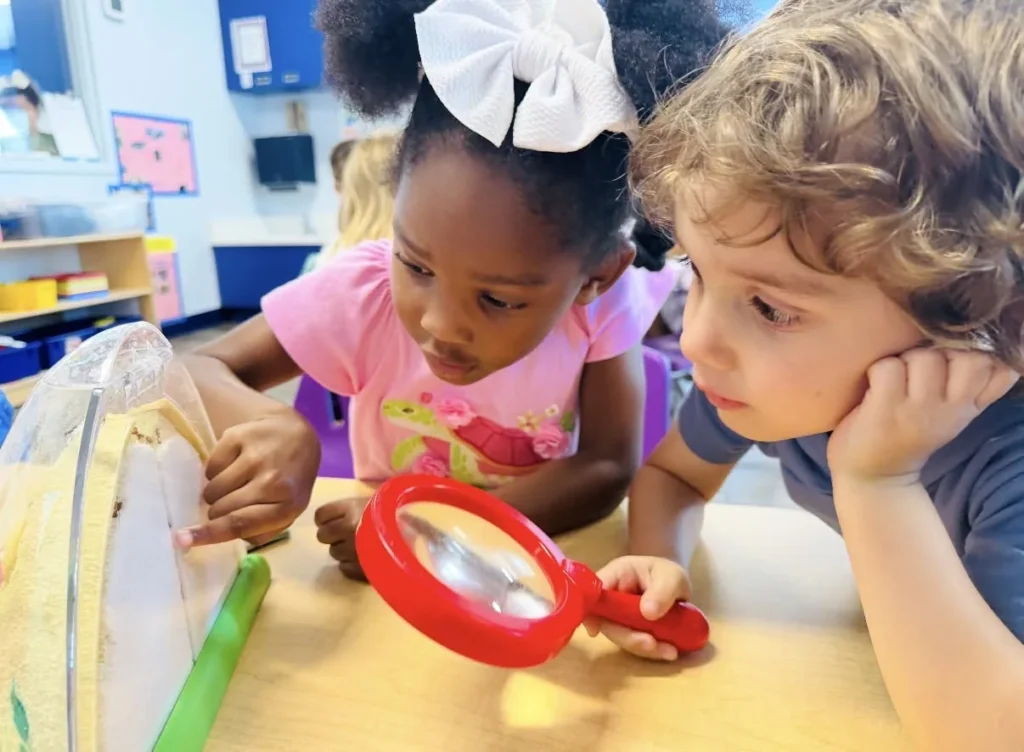 Two preschoolers looking through a red magnifying glass at a bug habitat on a classroom table